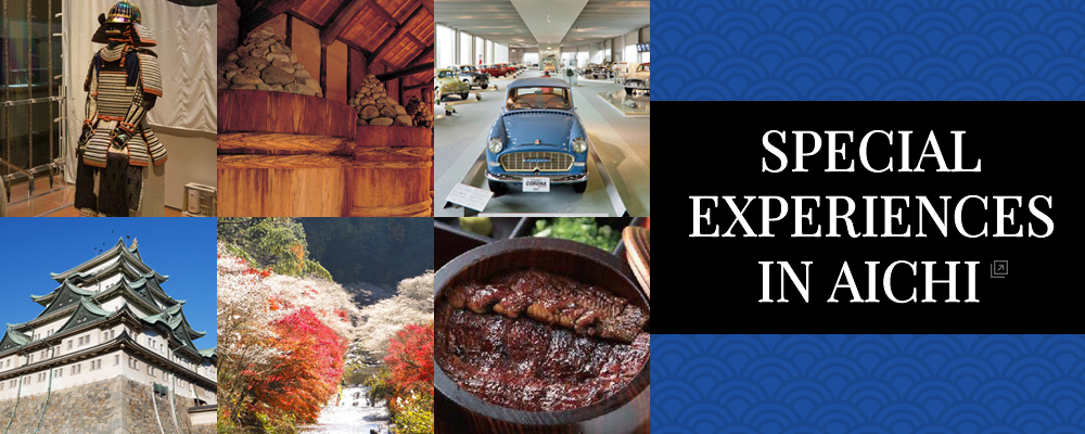 SPECIAL EXPERIENCES IN AICHI