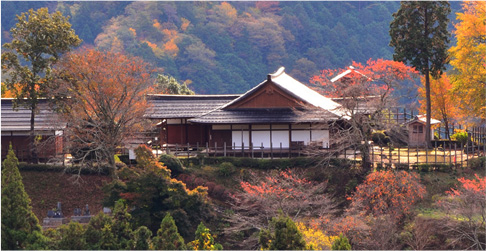 田峯城  