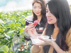 地元から愛される水族館とミカン狩りで楽しい思い出旅