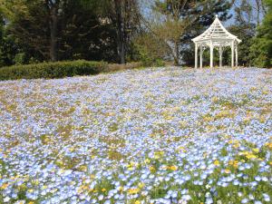 花好きにたまらない！愛知の美しい花畑と景色を巡る癒し旅