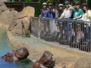 豊橋総合動植物公園【のんほいパーク】