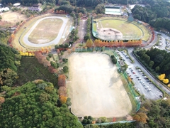 新城総合公園