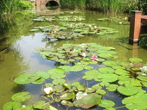 豊橋総合動植物公園,のんほいパーク