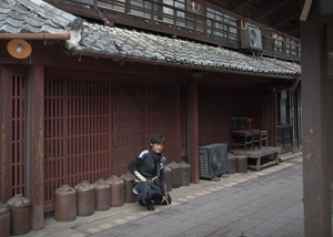 Inuyama Castle Town