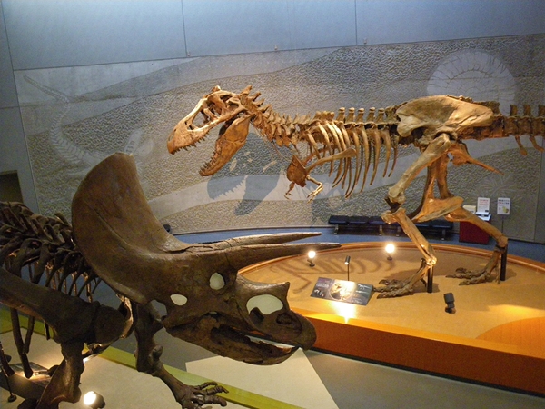 豊橋総合動植物公園,自然史博物館