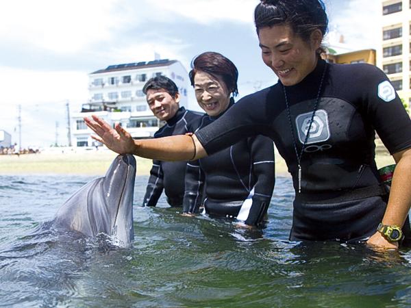 日間賀島