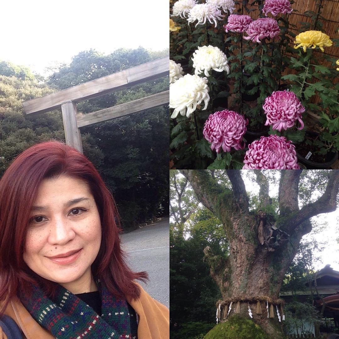 National Treasure Inuyama Castle