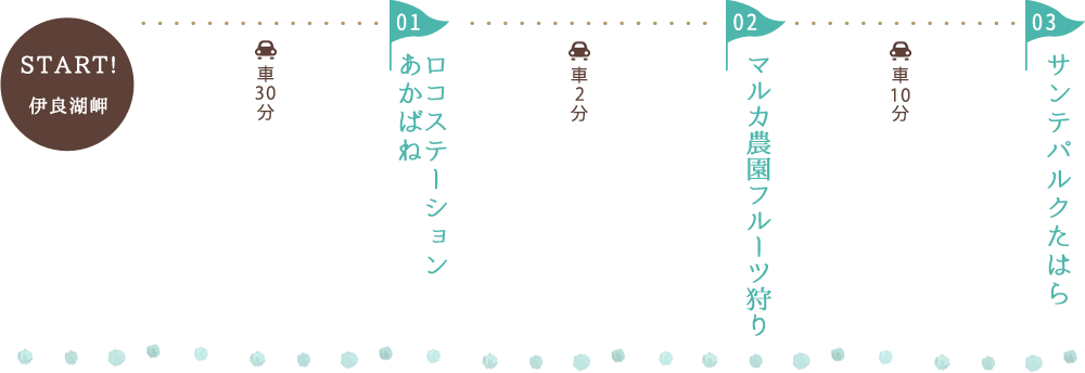 果物狩りを楽しむコース内容