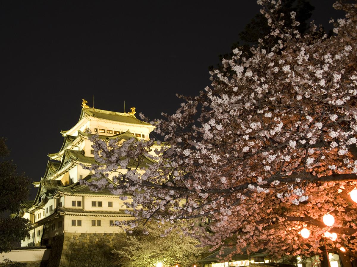 Nagoya Castle: Spring Festival 
