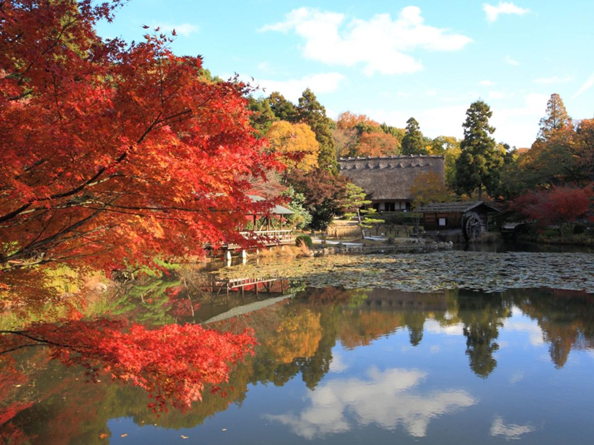 Săn lá đỏ Momiji-gari ở vườn bách thảo và bách thú Higashiyama