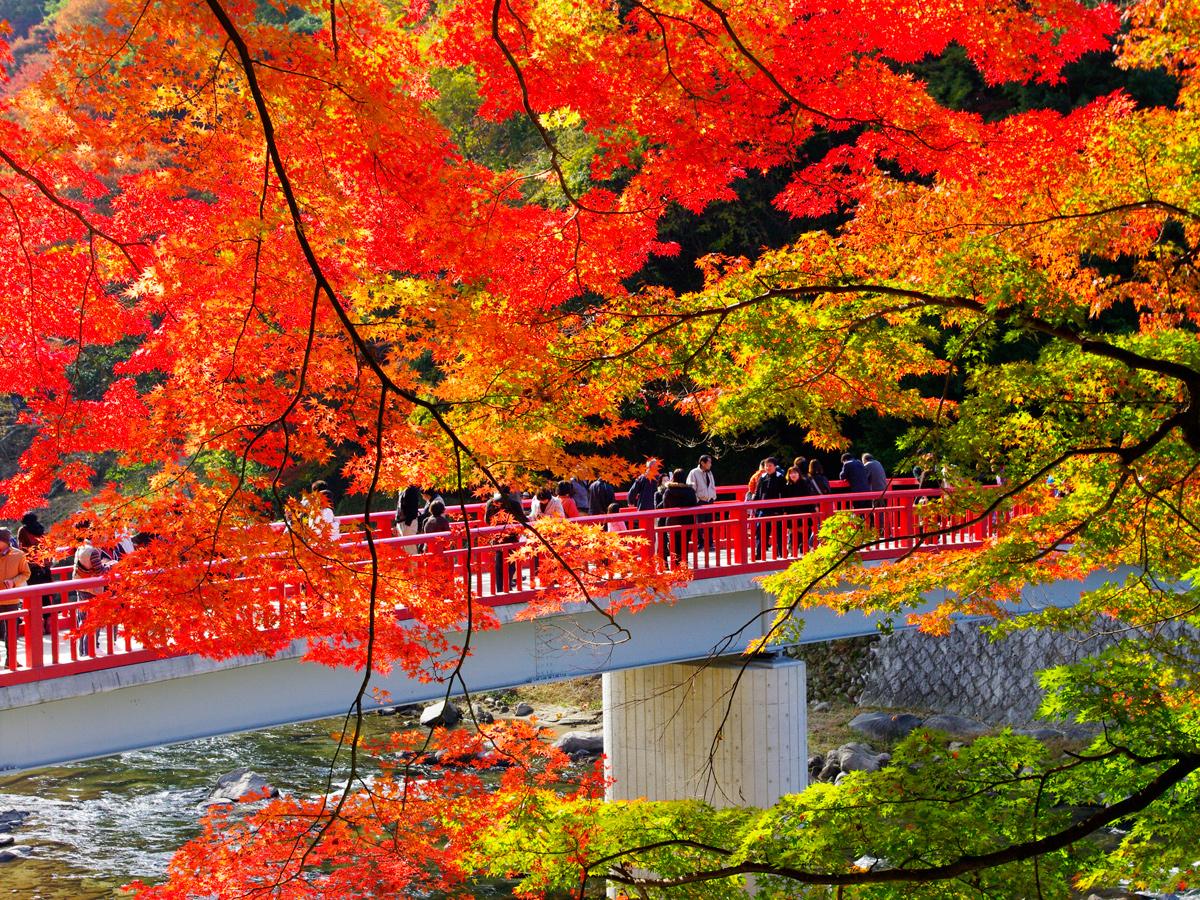 Korankei Maple Festival