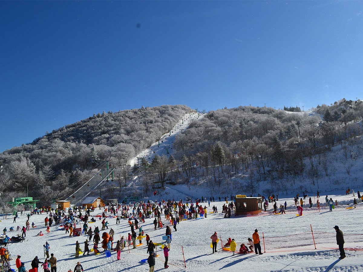 茶臼山高原滑雪場