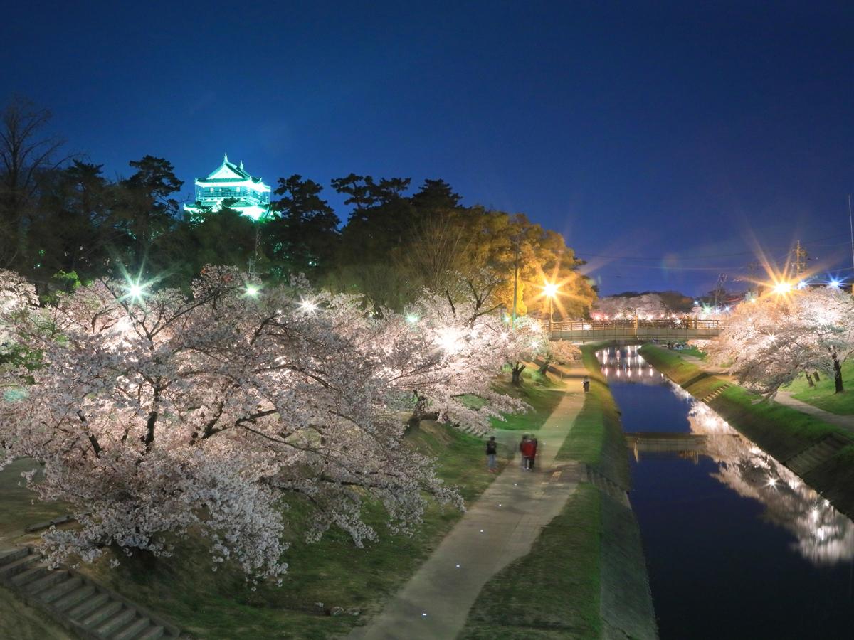 Okazaki: Cherry Blossom Festival 