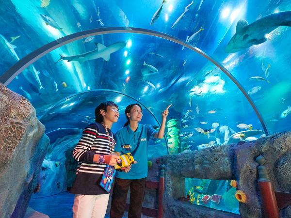 【水族馆】SEA LIFE Nagoya