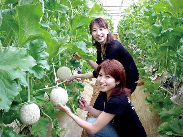 New Atsumi Kanko Farm
