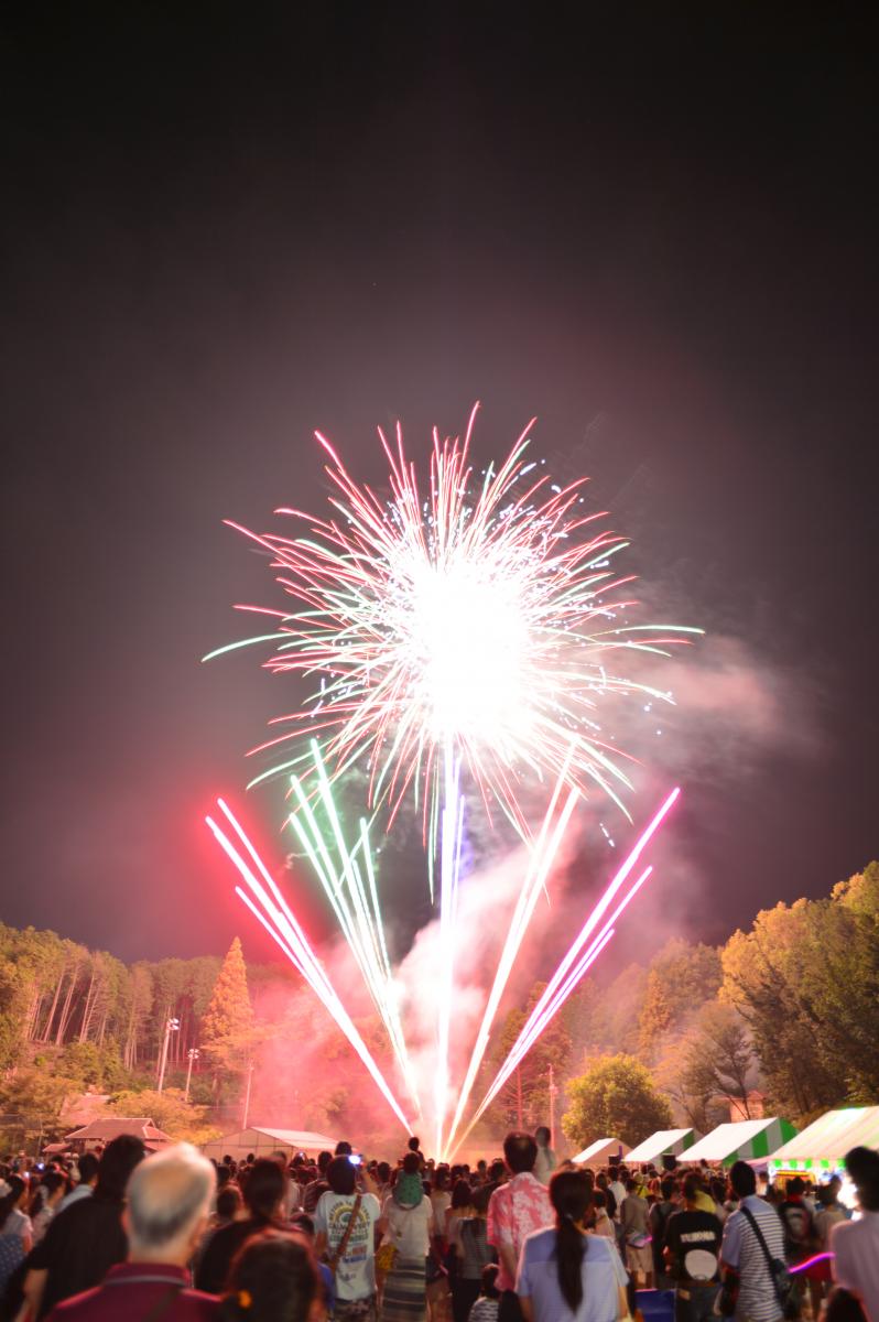 Fujioka Oiden Summer Festival Fireworks