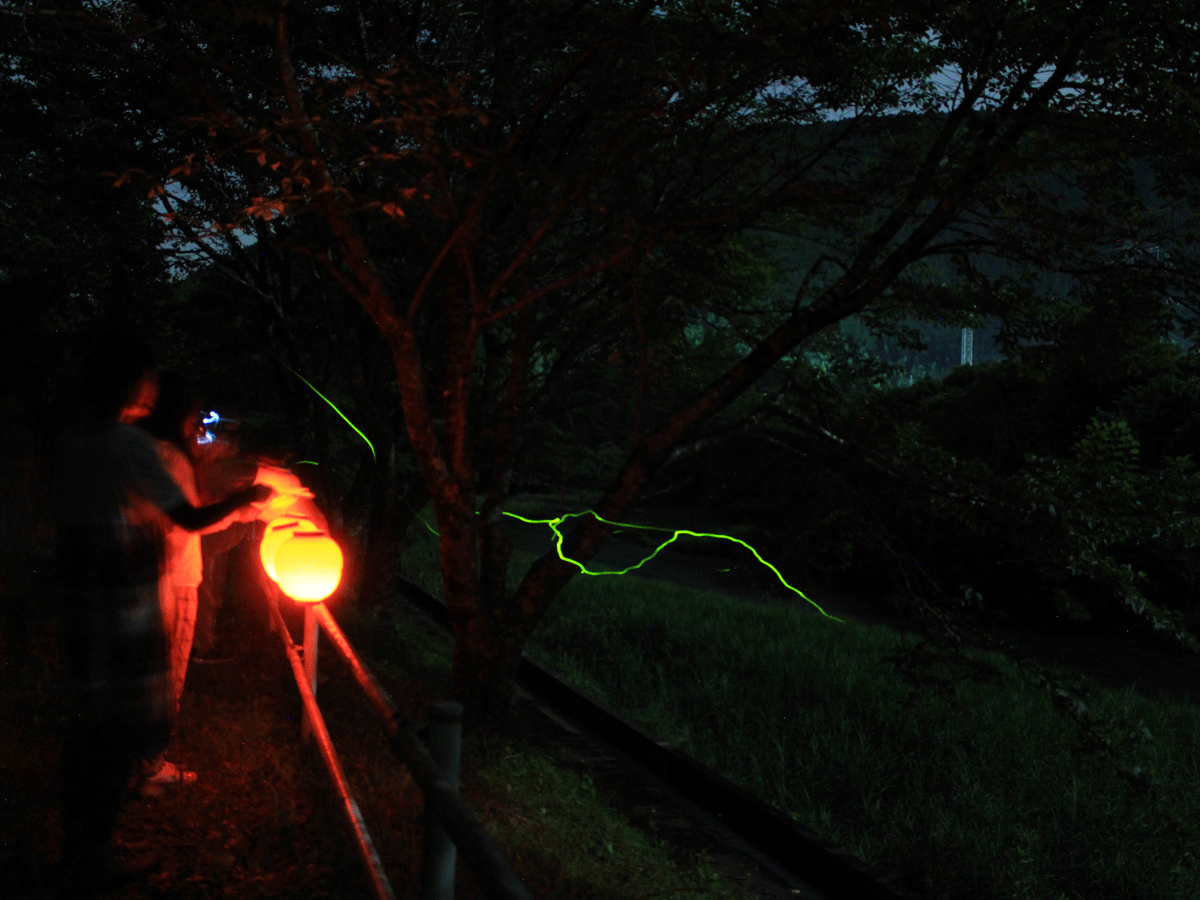 螢火蟲的散步道