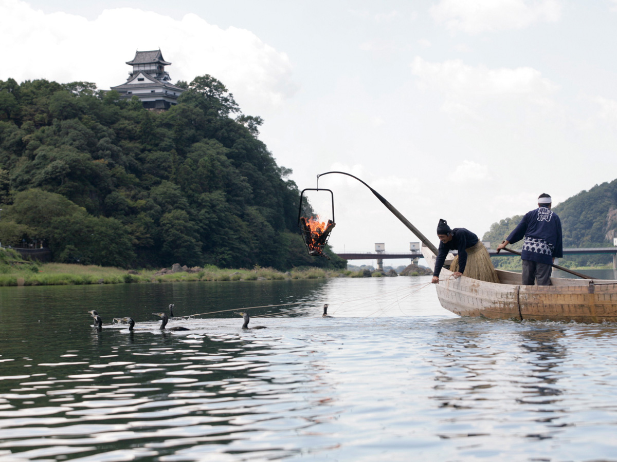 การจับปลาแบบอุไคที่แม่น้ำคิโซกาวะ