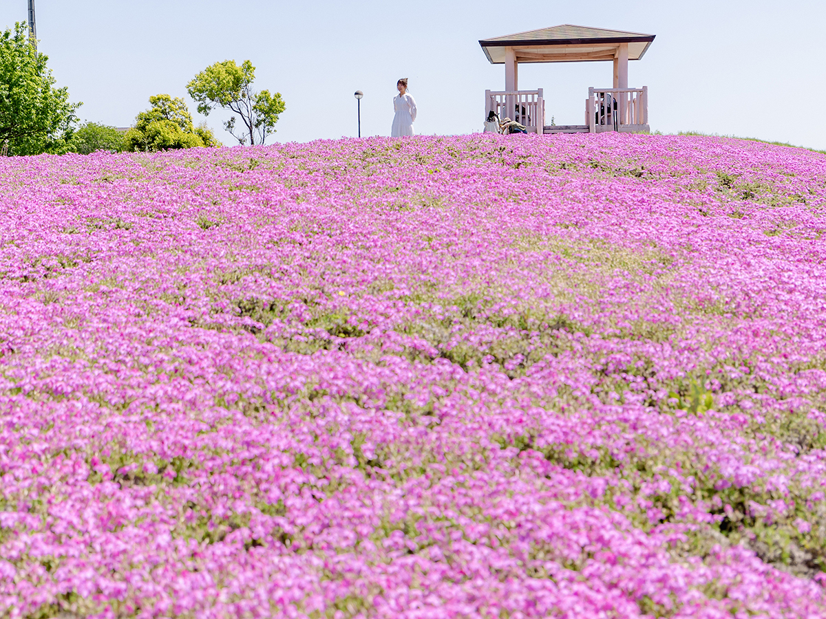 三又池公園