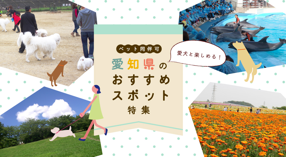 ペット同伴可 愛犬と楽しめる 愛知県のおすすめスポット特集 公式 愛知県の観光サイトaichi Now