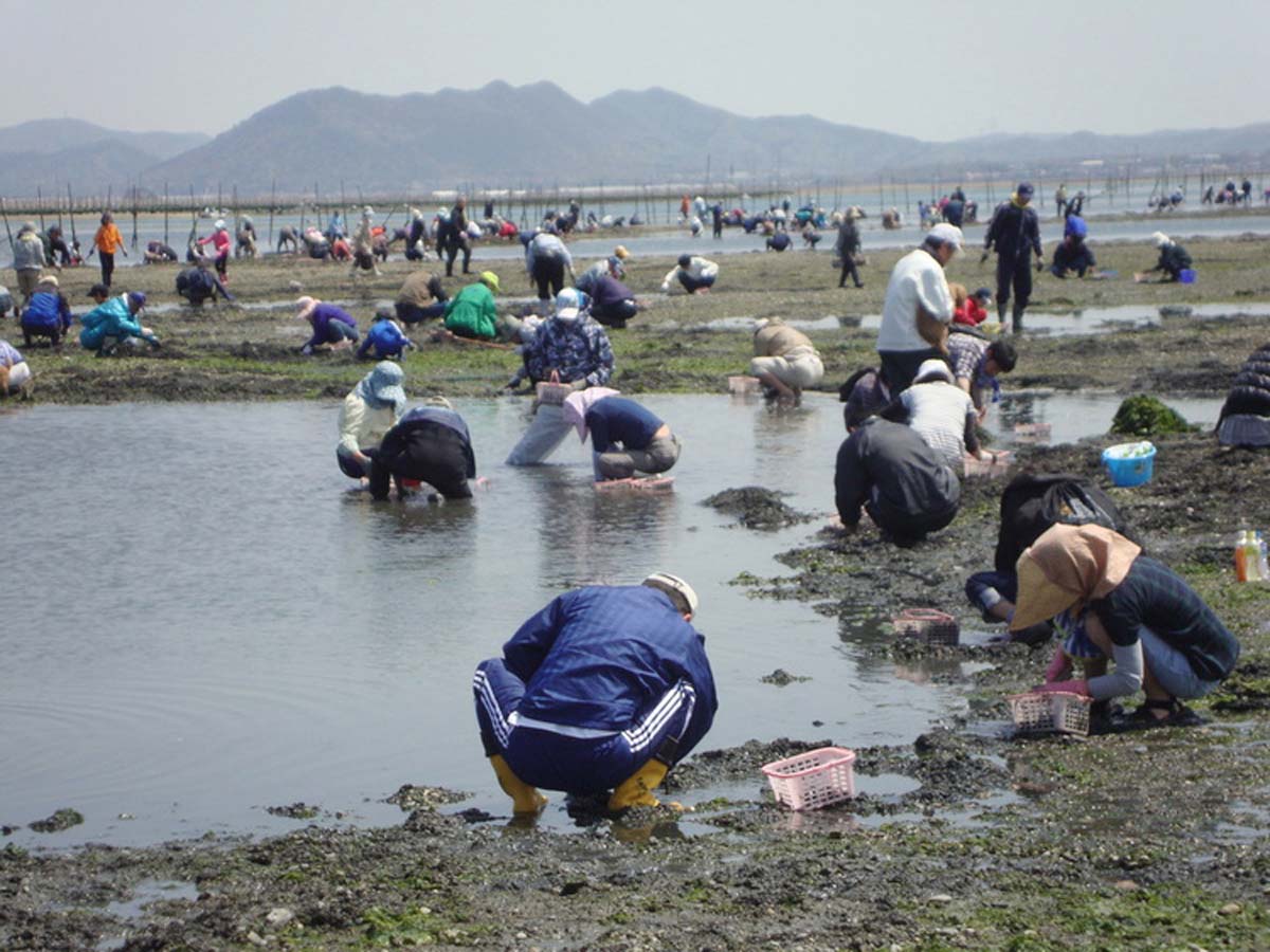 小中山地区海岸　潮干狩り