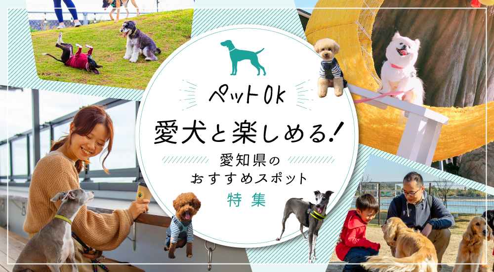 愛犬と楽しめる！愛知県のおすすめスポット特集
