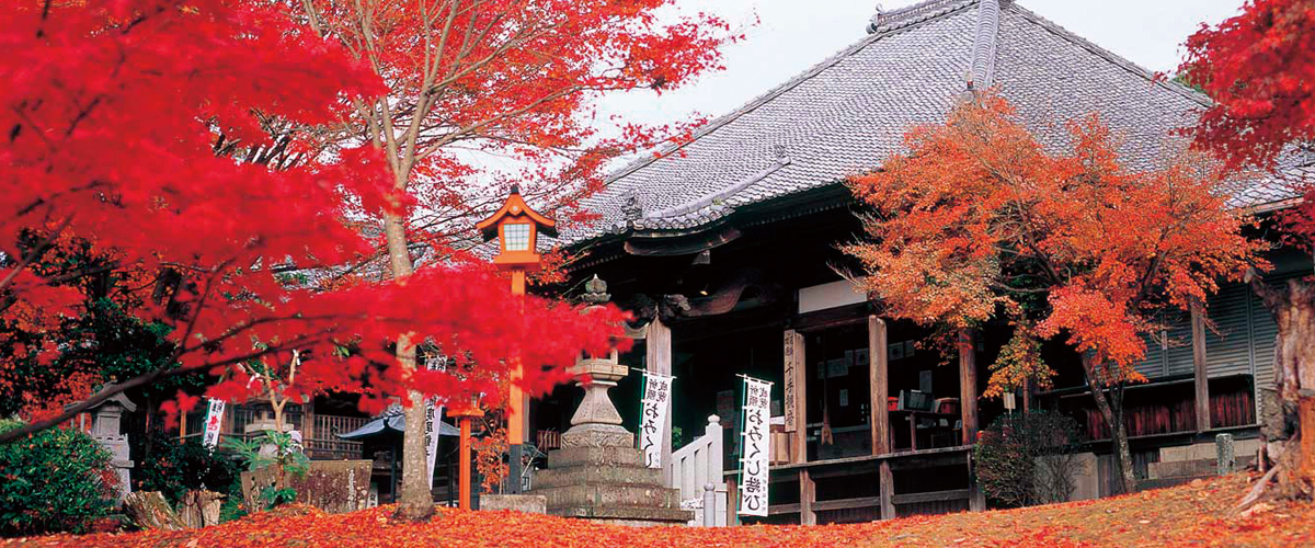 寺庙、神社和红叶