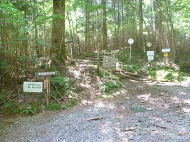 段戸自然観察教育林コース