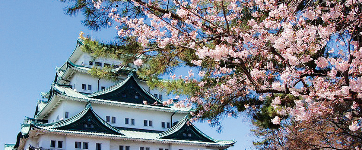備受推崇的城樓，櫻花盛開的景區