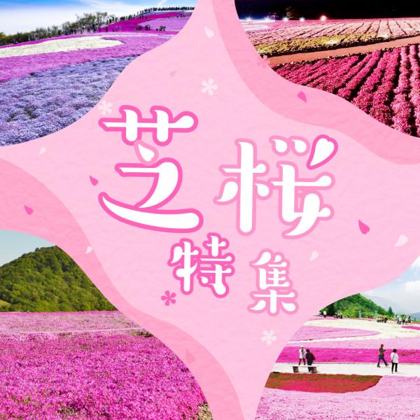 愛知の芝桜特集