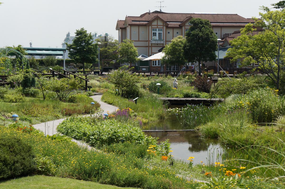 Nagoya Port Wildflower Garden Bluebonnet (Closed)
