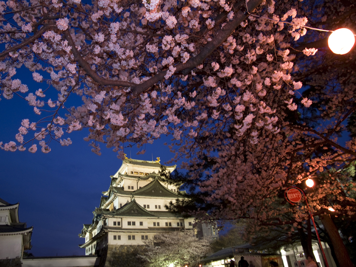 Nagoya Castle Spring Festival 