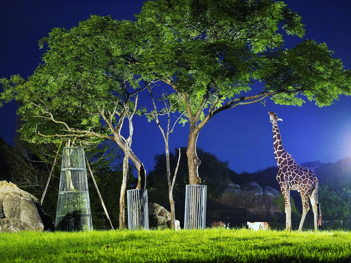 丰桥综合动植物公园  夜间动物园