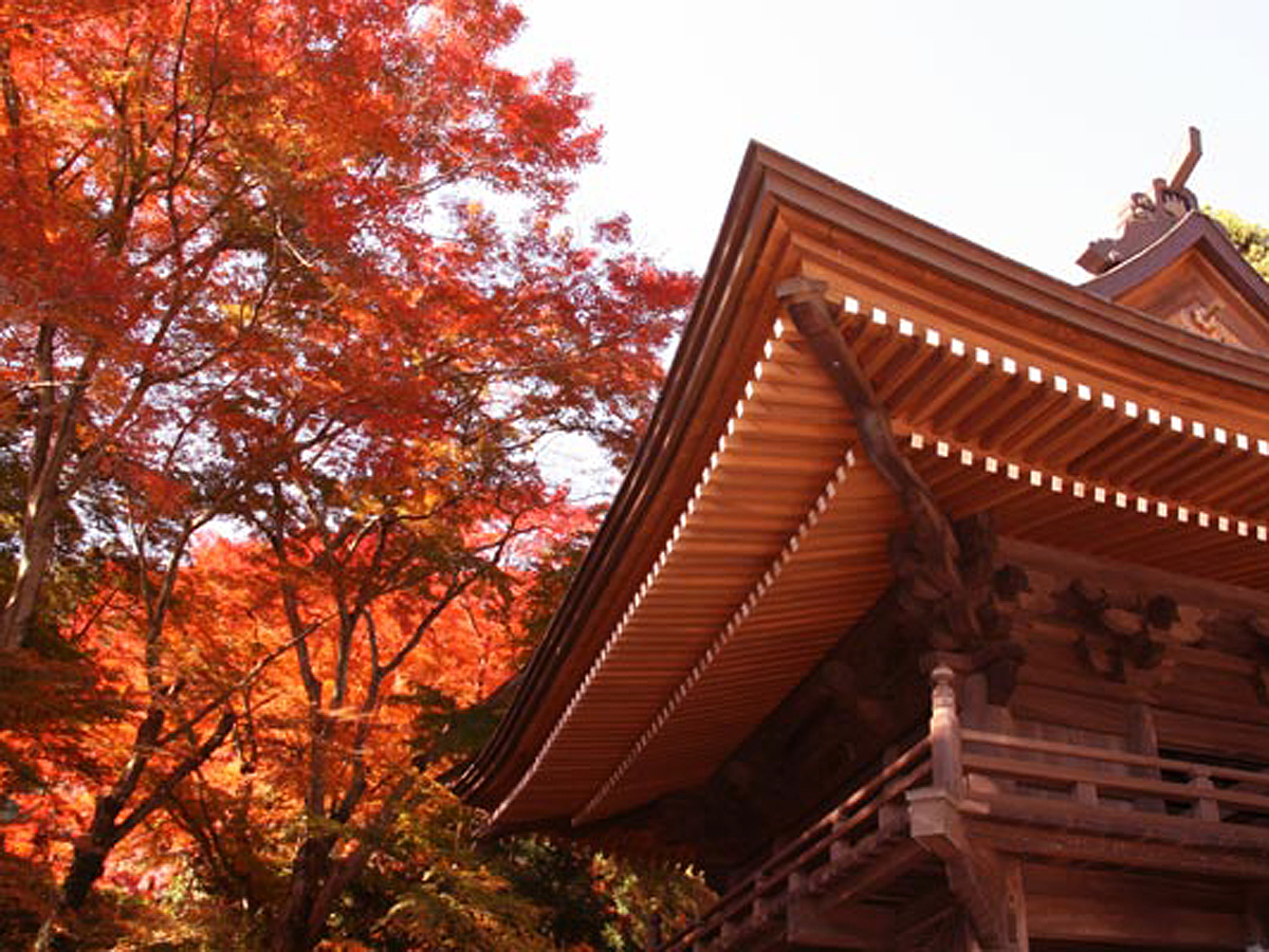 Fumonji Temple Maple Festival