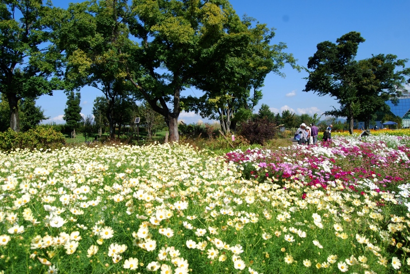 Kiso Sansen Park - Flower Park Konan