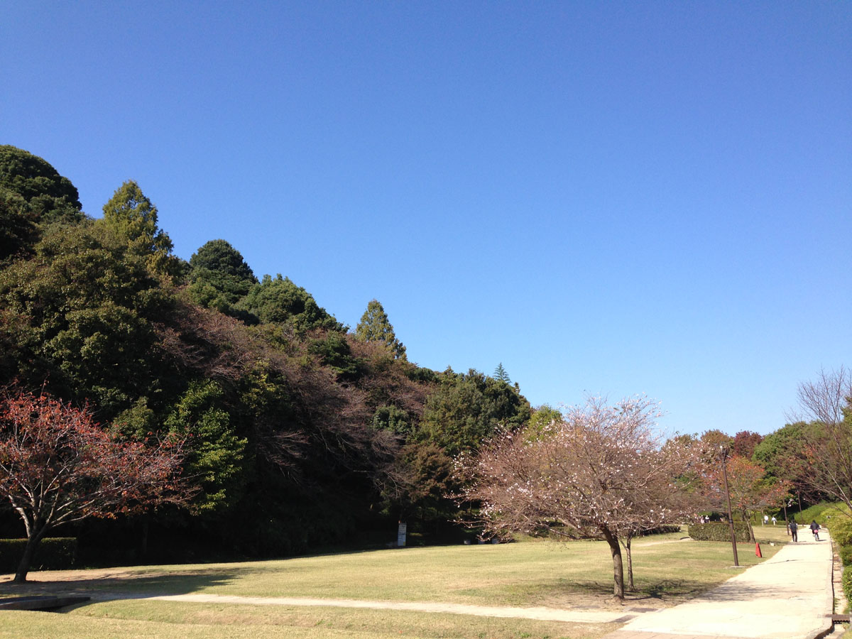 Komakiyama Castle