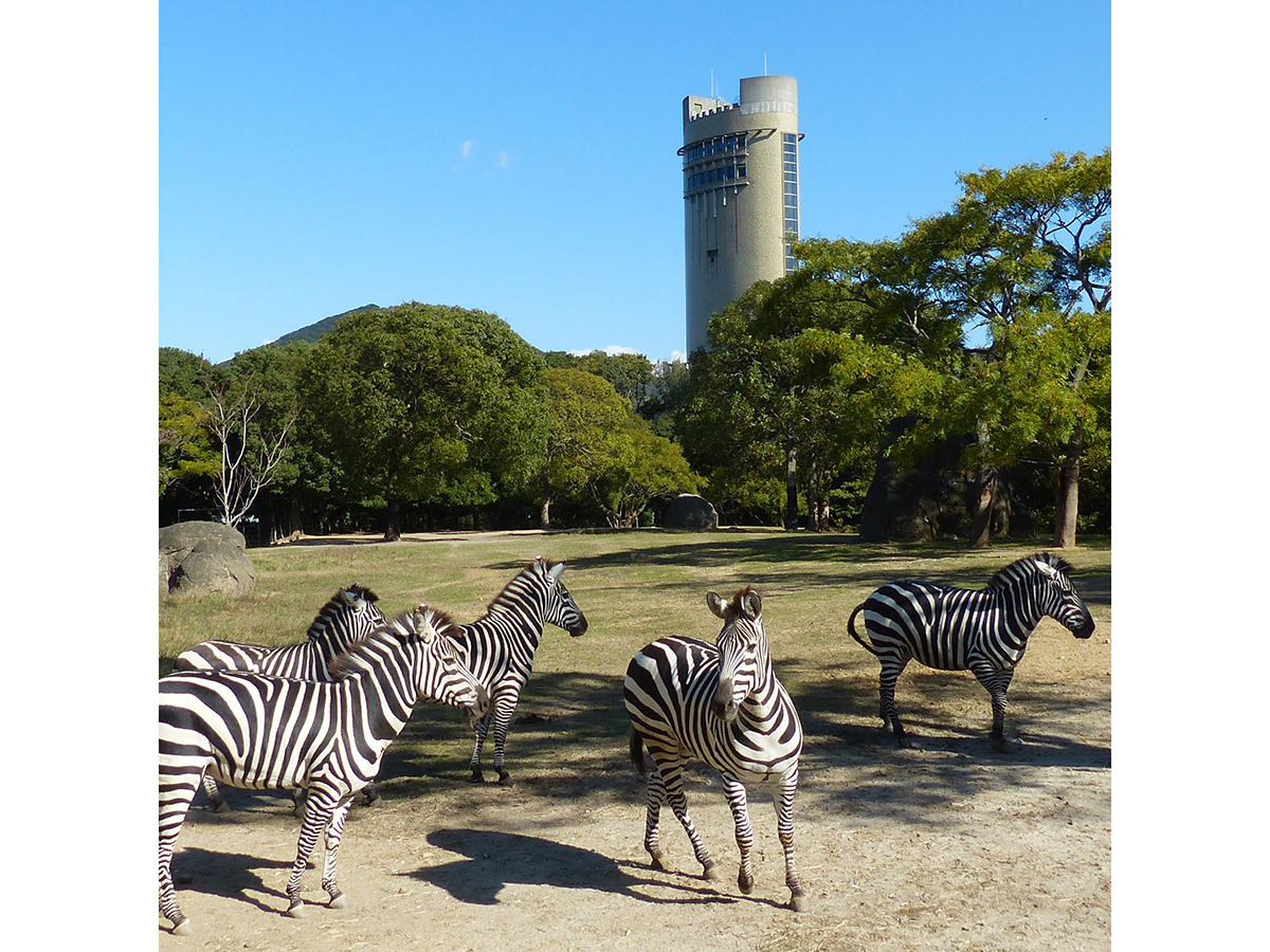 Toyohashi Zoo & Botanical Park (Non Hoi Park)