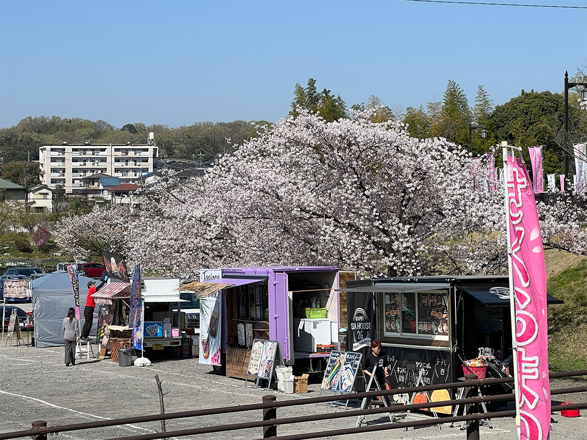 尾张旭・城山公园樱花节