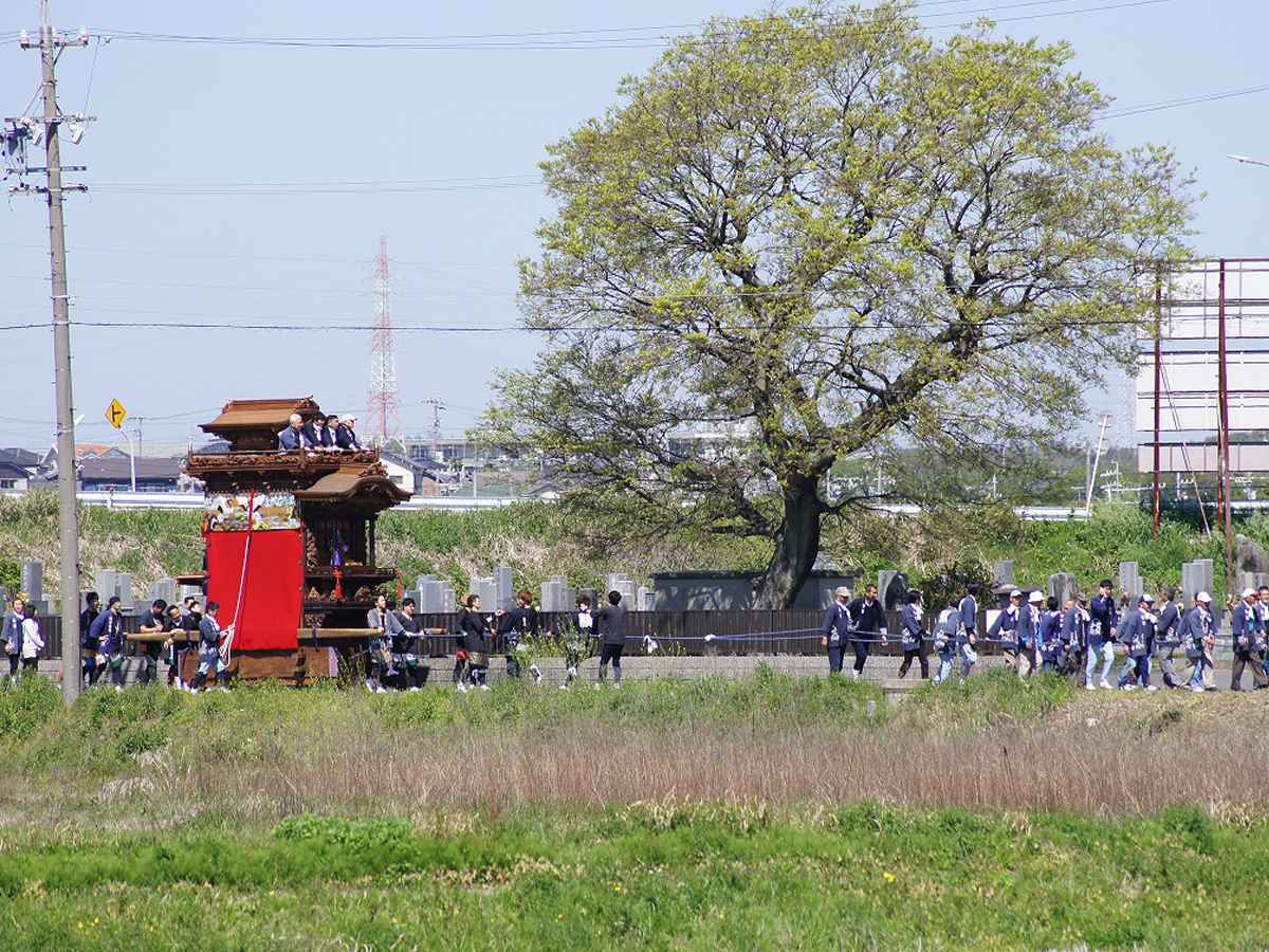 春の山車祭り_横松