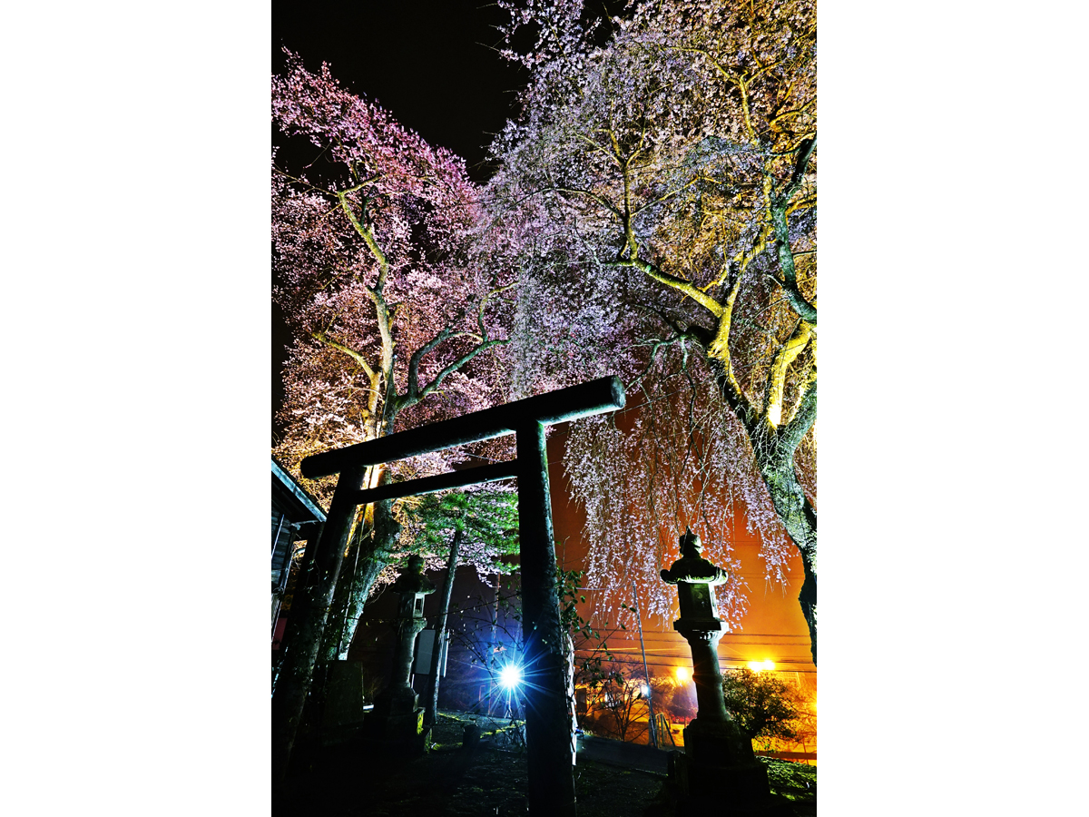 湯～らんどパルとよね　熊野神社