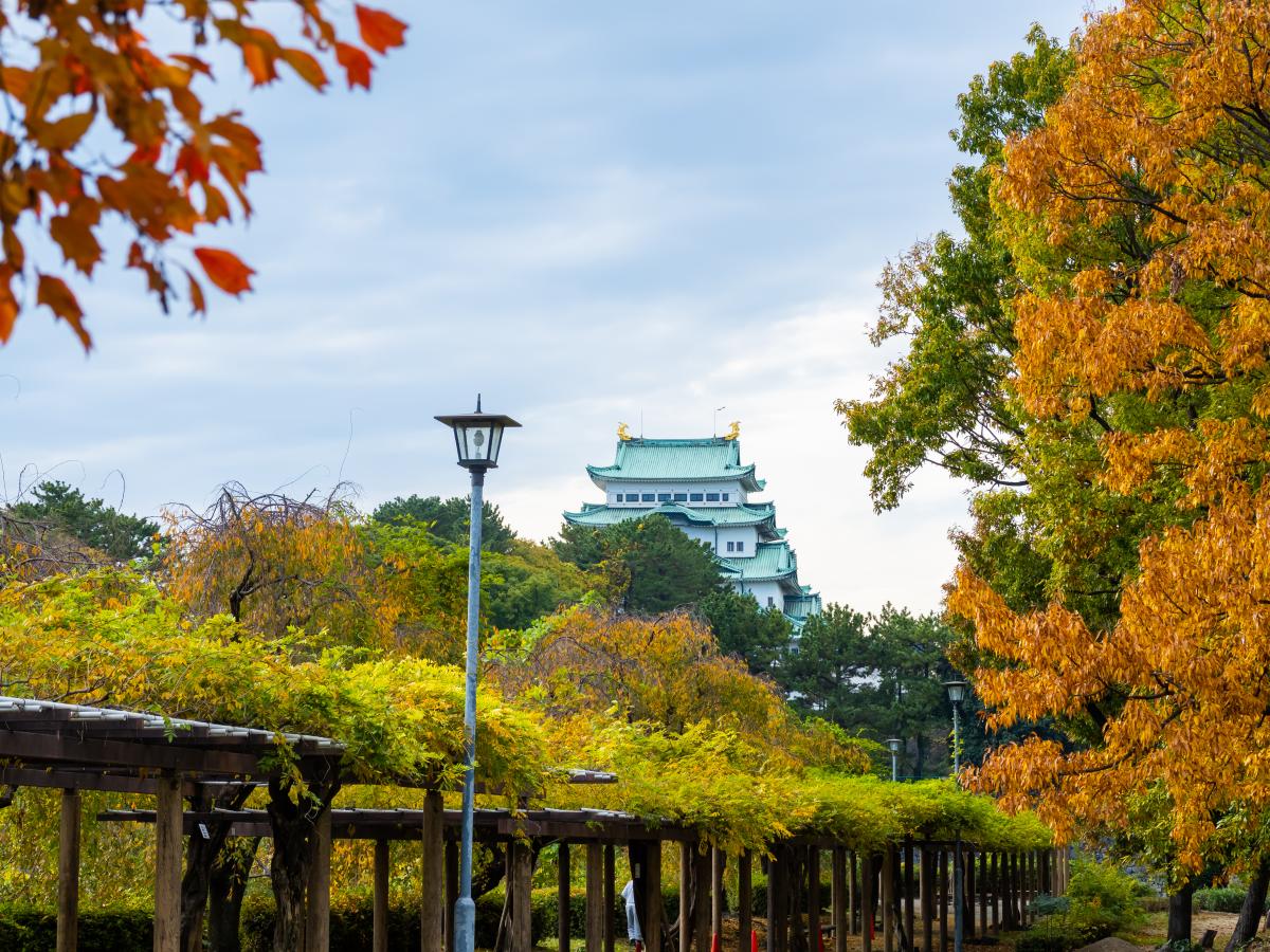 名城公園と紅葉