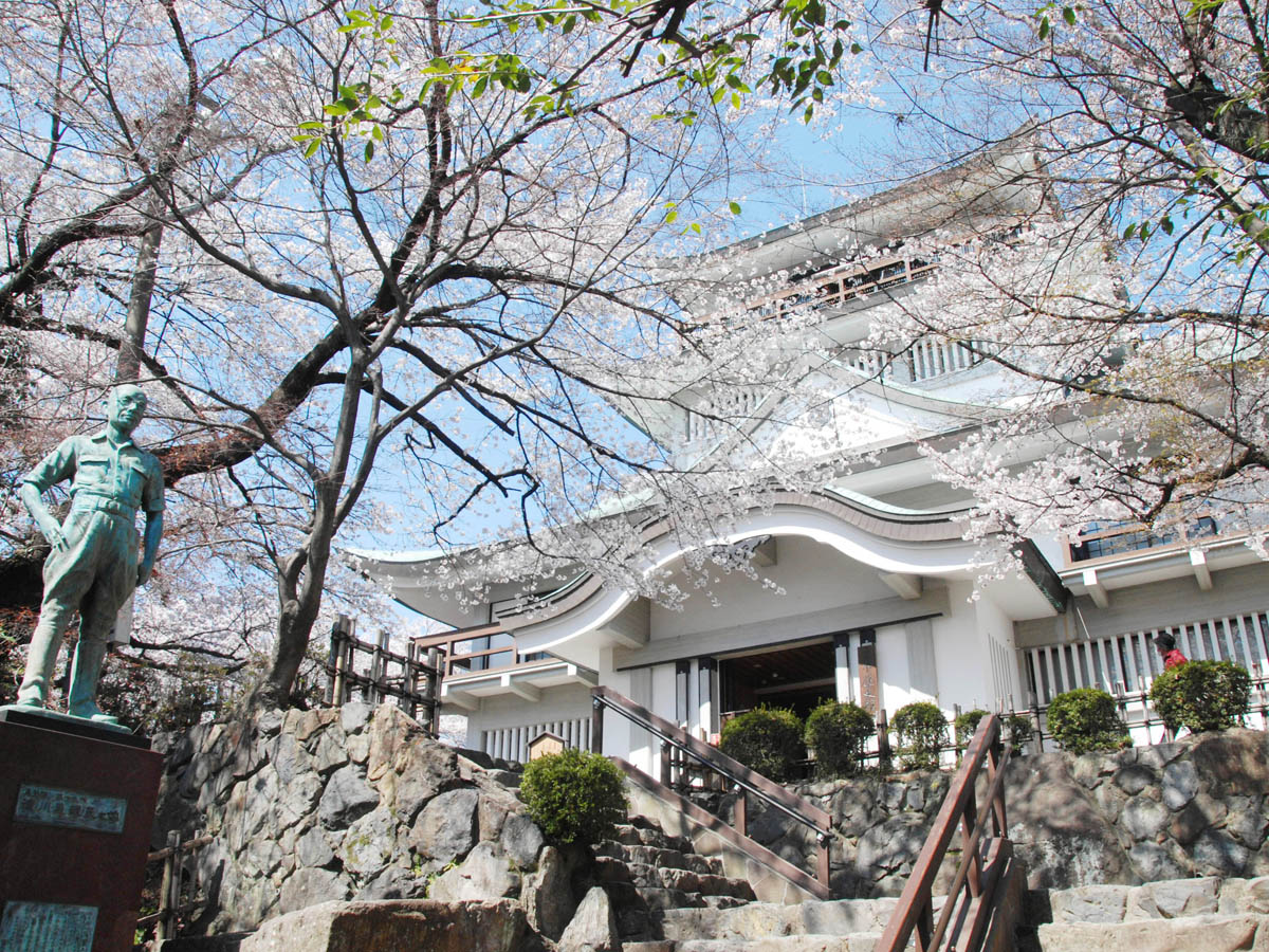 Mt. Komaki Cherry Blossom Festival