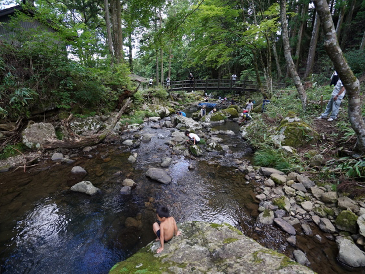 グリーンステージ花の木 山の大自然 夏休みは川遊びで大満喫 公式 愛知県の観光サイトaichi Now