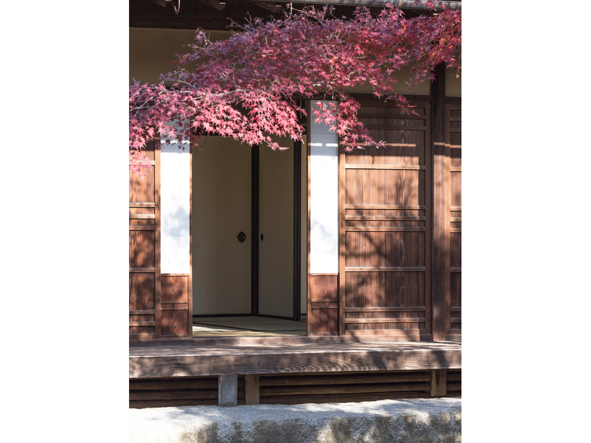 Urakuen Japanese Garden / National Treasure Joan Teahouse