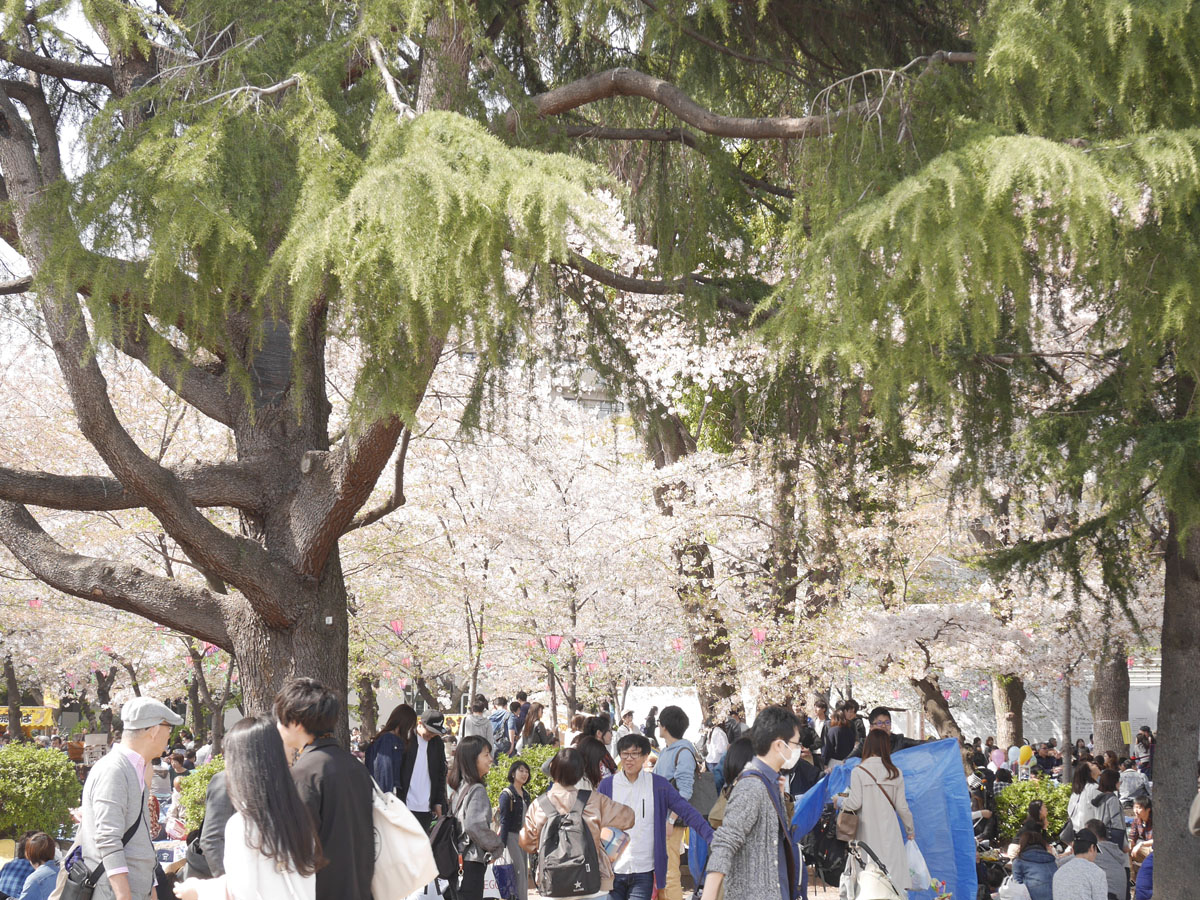 鶴舞公園 Spring Park 公式 愛知県の観光サイトaichi Now