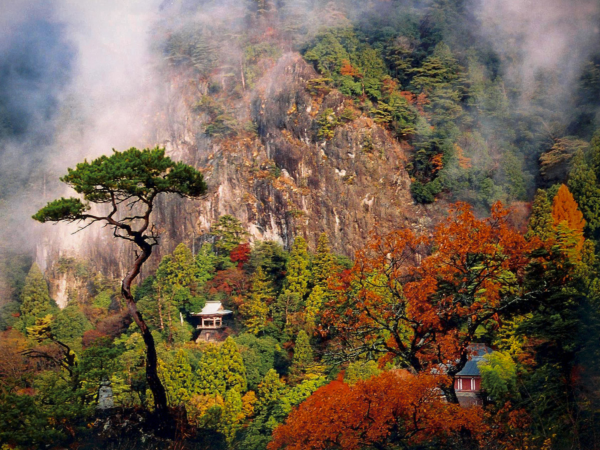 鳳來寺山紅葉節