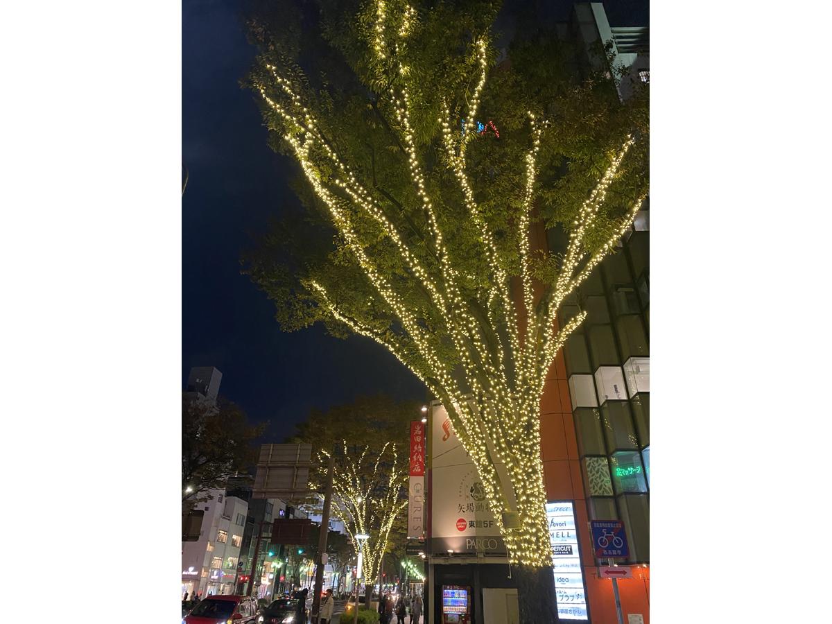 Sakae-Minami/Osu Winter Illumination