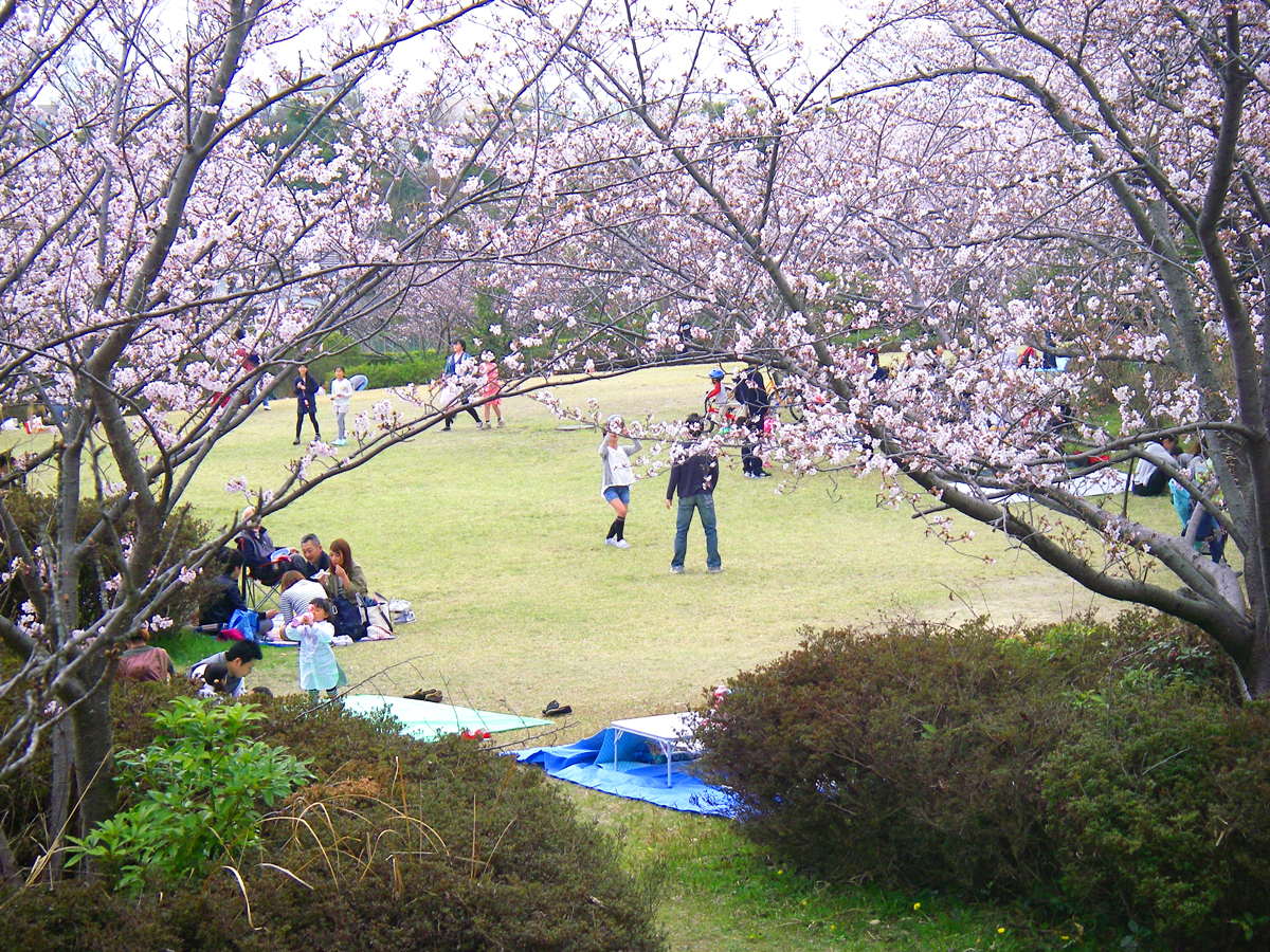 Odaka Greenery Park