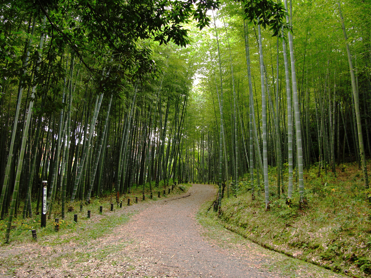 愛知県森林公園