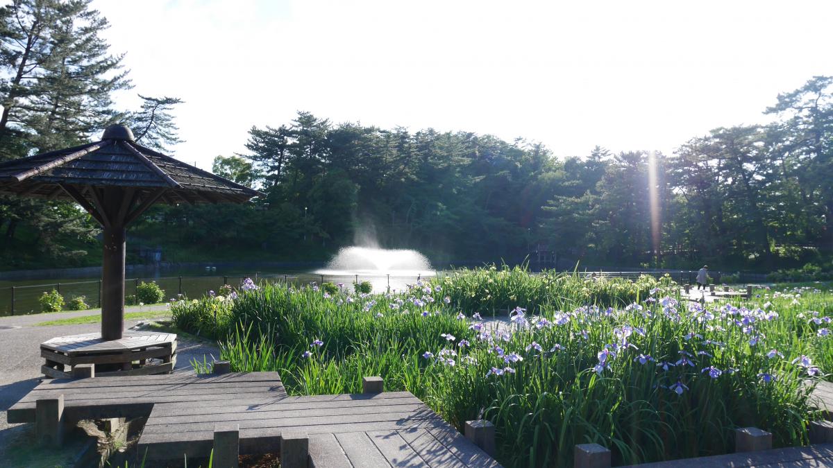 Higashi Park and Mini Zoo (Higashi Koen)